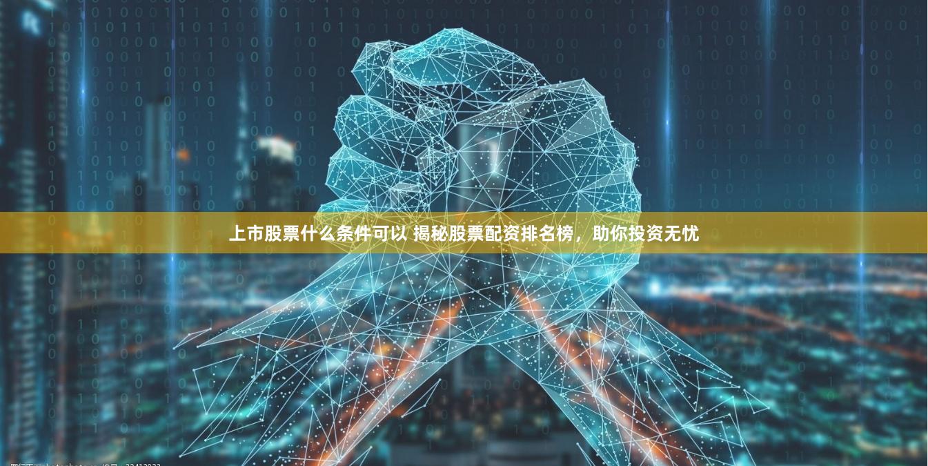 上市股票什么条件可以 揭秘股票配资排名榜,助你投资无忧